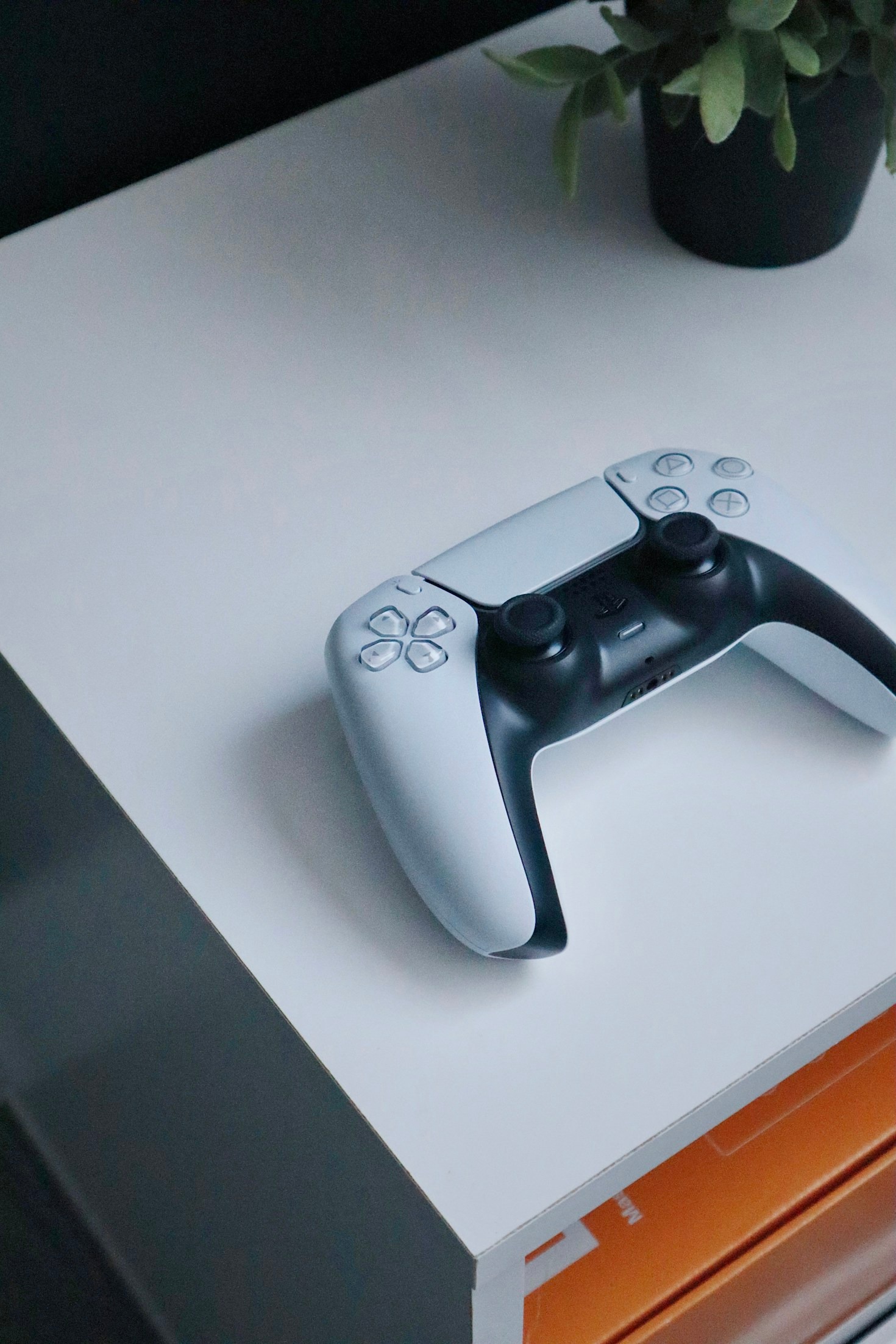 Top Five Features of Novex Games’ Latest Release